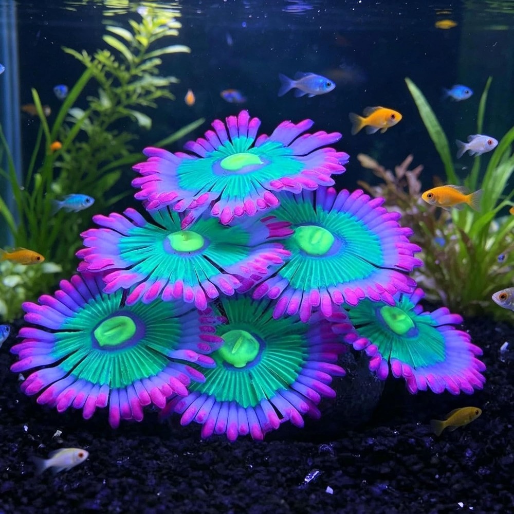 Aquarium Fish For Sale Online - Glowing Soft Aquarium Fish Tank Decorations
