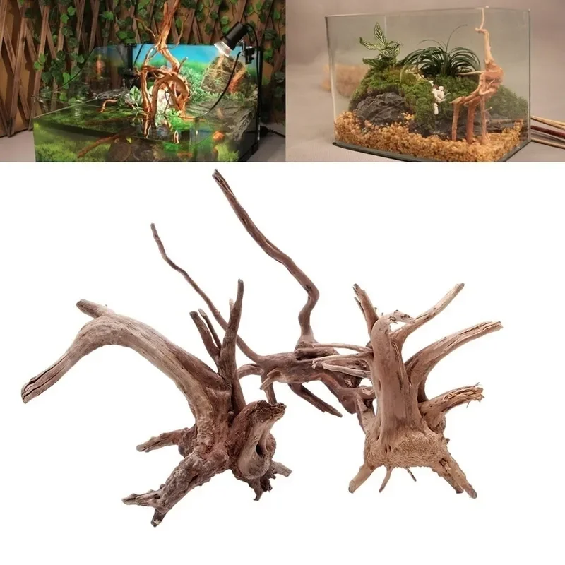 Natural Tree Trunk Driftwood A - Aquarium Fish For Sale Online review and price