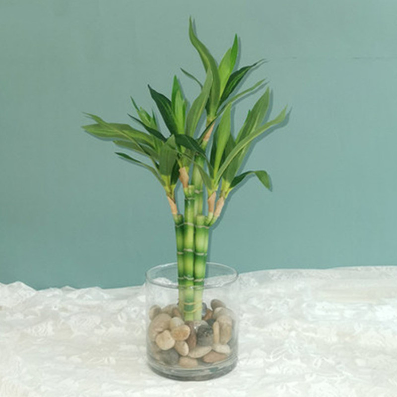 New 40cm Artificial Lucky Bamb - Aquarium Fish Buy review and price