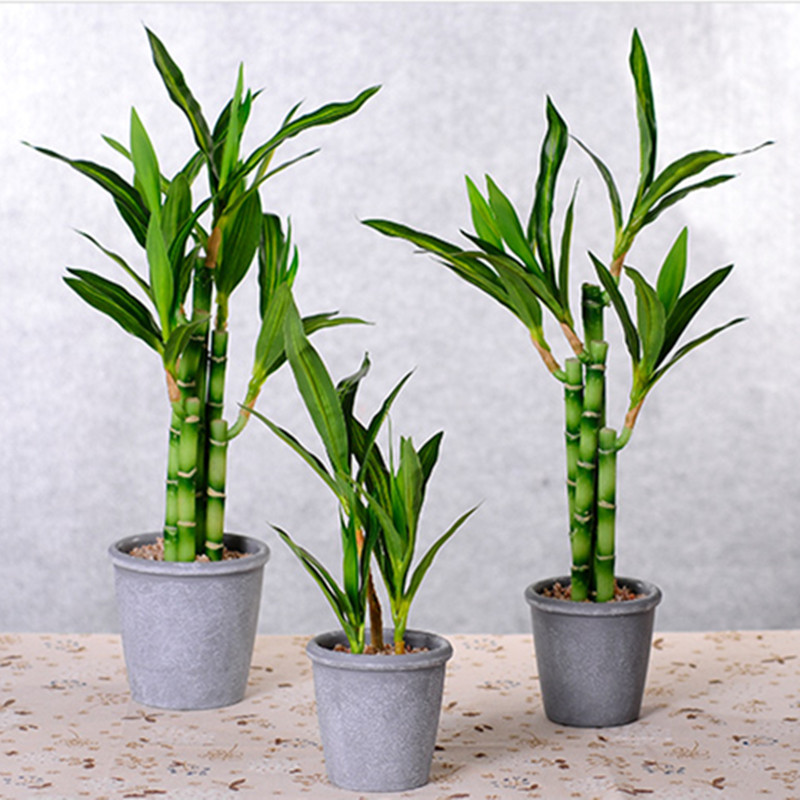 New 40cm Artificial Lucky Bamb - Aquarium Fish Buy review and price