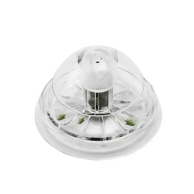 2026 New 6/8CM Clear Plastic S - Aquarium Fish Buy review and price