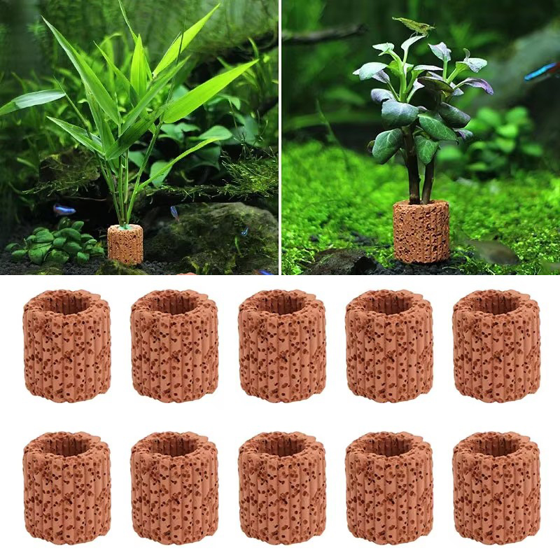 Aquatic Plant Fixed Ring for A - Aquarium Fish For Sale Online review and price