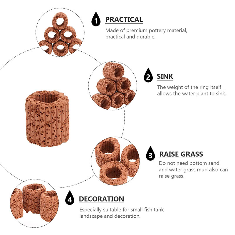 Aquatic Plant Fixed Ring for A - Aquarium Fish For Sale Online review and price