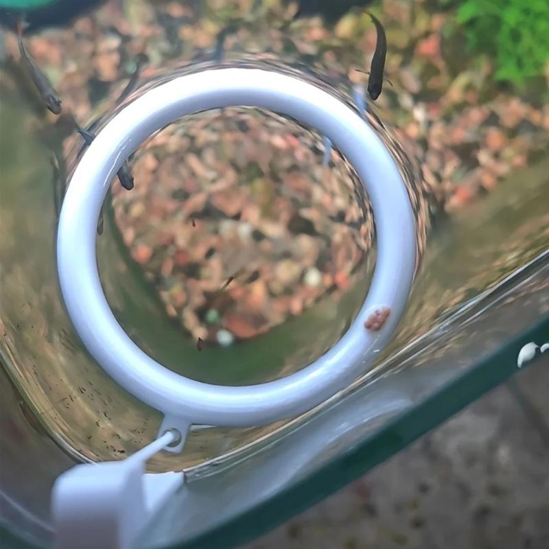 {QTG333} 1 Set 3D Printed Floa - Aquarium Fish Auto Feeder review and price