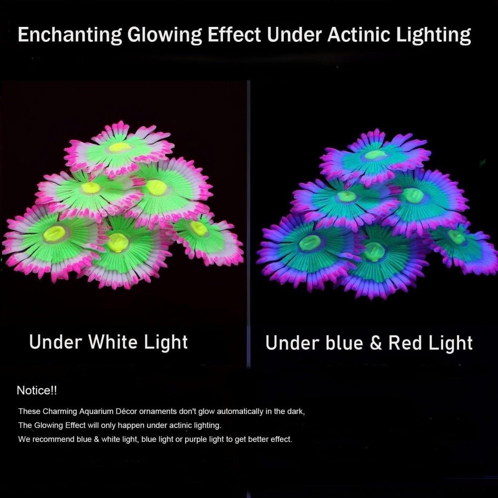 Glowing Soft Aquarium Fish Tan - Aquarium Fish For Sale Online review and price