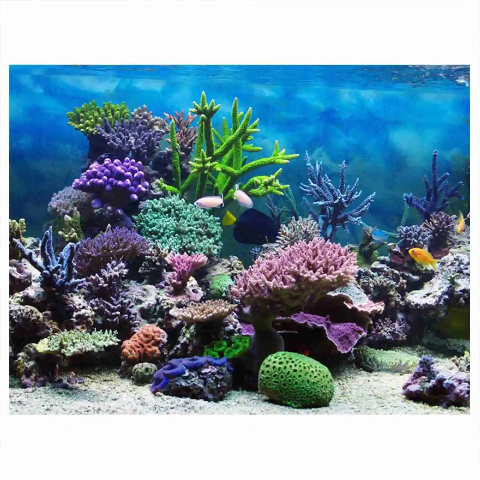 3D Aquarium Landscape Poster R - Aquarium Fish Background review and price