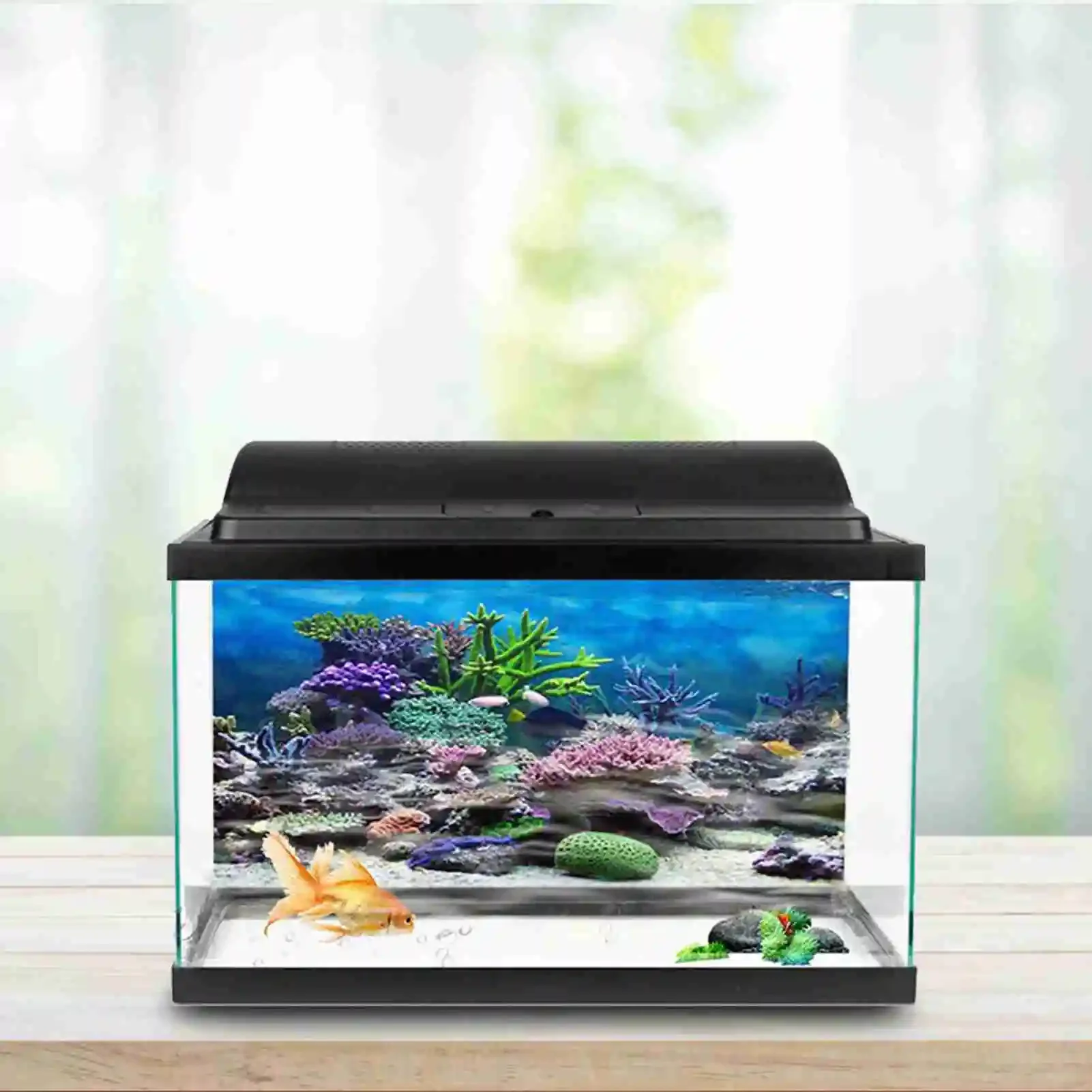 3D Aquarium Landscape Poster R - Aquarium Fish Background review and price