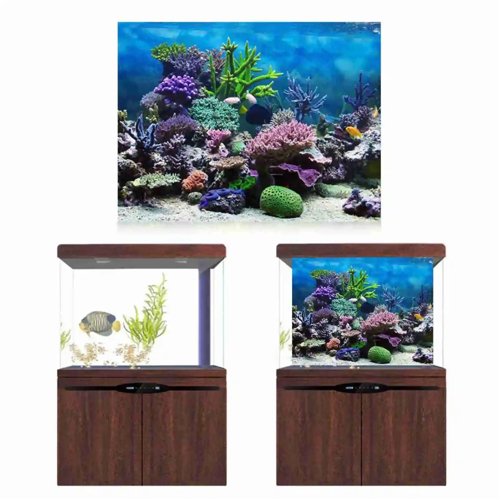 3D Aquarium Landscape Poster R - Aquarium Fish Background review and price