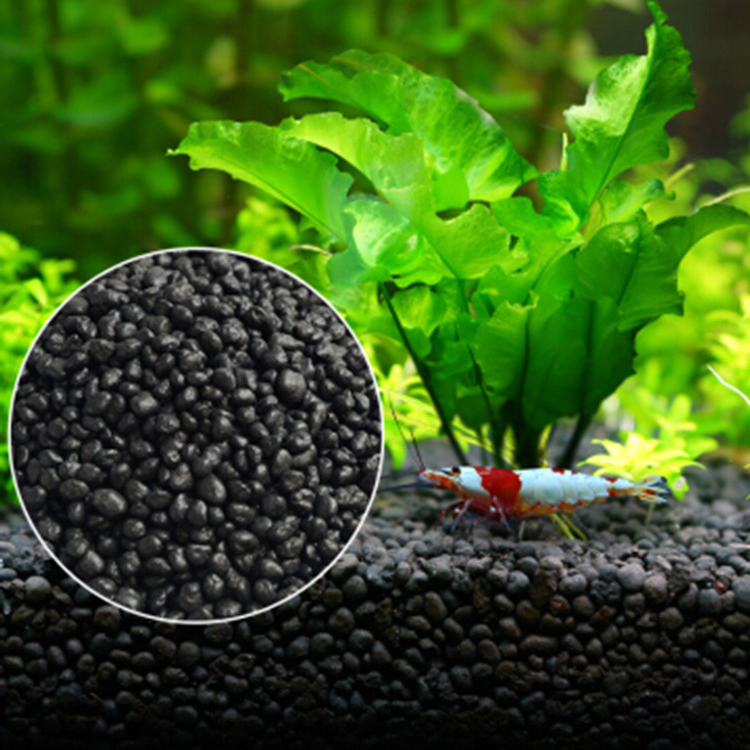 Aquarium Plant Seeds Soil Fish - Aquarium Fish Buy review and price