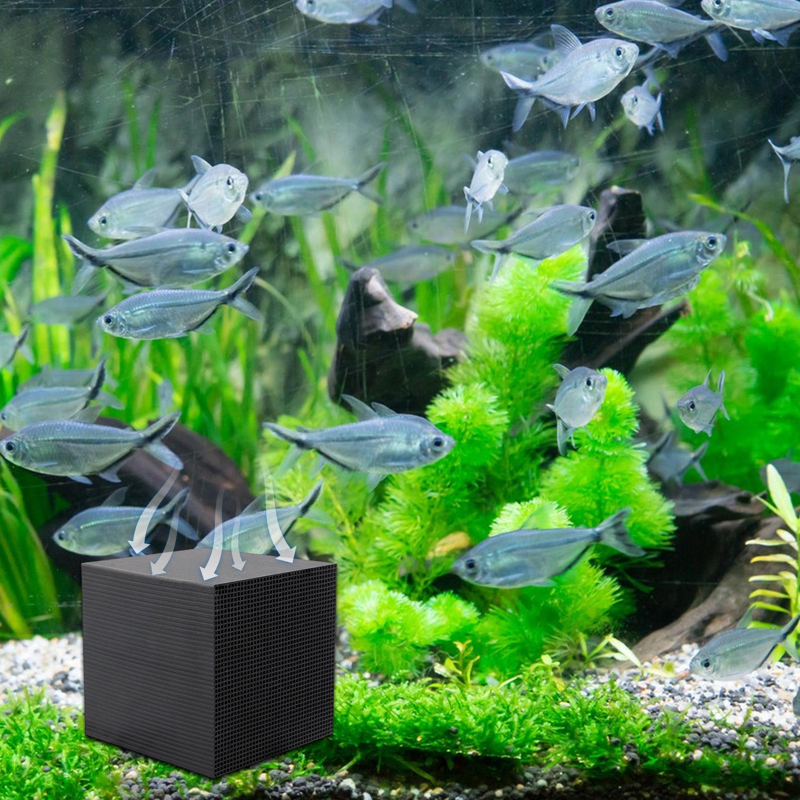 Aquarium Water Purifier Cube U - Aquarium Fish Background review and price