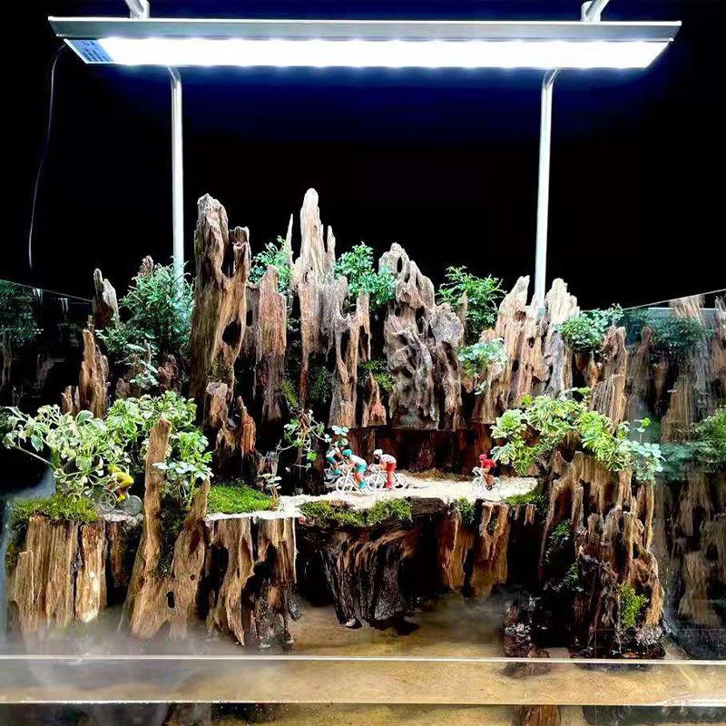 △ Shrimp Wood Aquarium Decor,  - Aquarium Fish For Sale Online review and price
